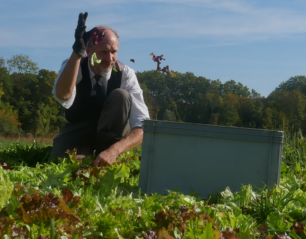 Nathanaël récolte le mesclun dans son jardin de la Robertsau